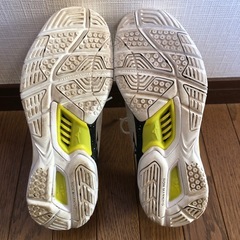 MIZUNO ミズノ WAVESTEALTH 5 ハンドボールシューズ 25cmの画像