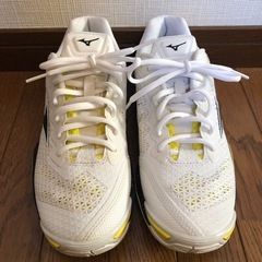 MIZUNO ミズノ WAVESTEALTH 5 ハンドボールシューズ 25cmの画像