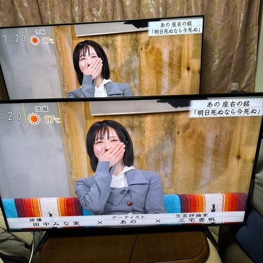 売約済み (ゆうこさん専用。)