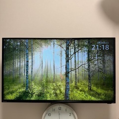 2020年製40Ｖ型　ORION製　訳アリの画像