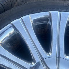 🏅今日売り切り🏅クリムソン マーテルの画像