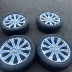 🏅今日売り切り🏅クリムソン マーテルの画像