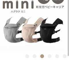 ハグラクミニ、グレーの画像