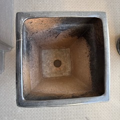 受け渡し決まりました　植木鉢の画像