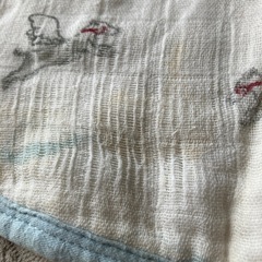 aden+anais肩掛けの画像