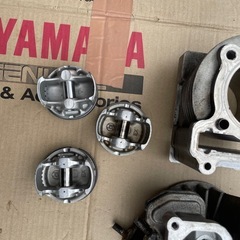 シグナス　ビックヘッドの画像