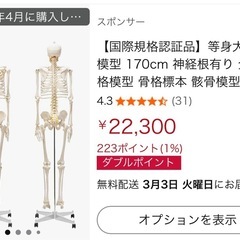 【国際規格認証品】等身大 人体模型 骨格標本　170cm 神経根有りの画像