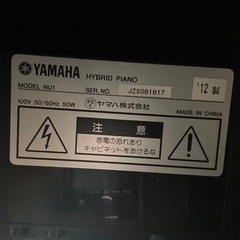 YAMAHA アバングラウンド　NU1の画像