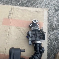 シグナスの画像