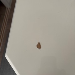 カウンターテーブルの画像