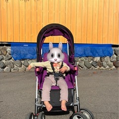 2人乗りベビーカー＊3/7まで！！＊の画像