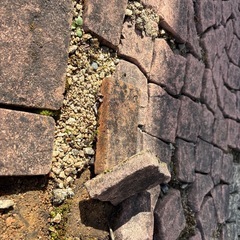 園芸　(取引先決済
)の画像