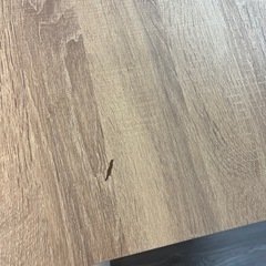 [3/6-3/8現地引渡し]ダイニングテーブル・チェア2脚セットの画像