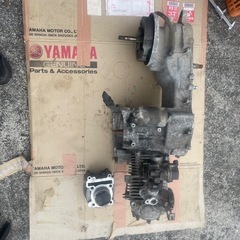 シグナス　の画像