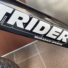 ストライダー　プロの画像