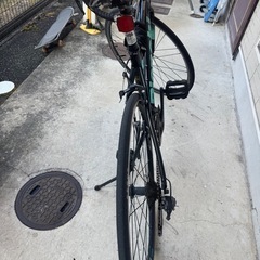 Bianchi ヴィアニローネ7 soraの画像