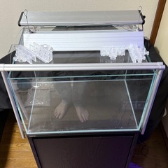 コトブキレグラスハイクリア45センチ水槽一式セットの画像