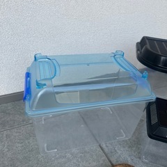 昆虫飼育セットの画像