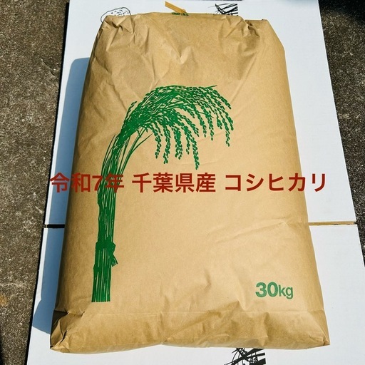 令和7年産 千葉県産 コシヒカリ ３０ｋｇ