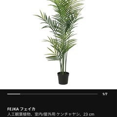 【取引決まりました】【取りに来てください】IKEA  フェイカ　観葉植物 の画像