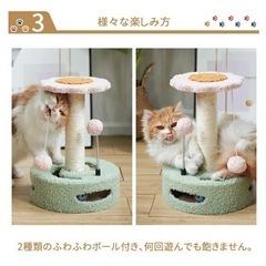 キャットタワーの画像
