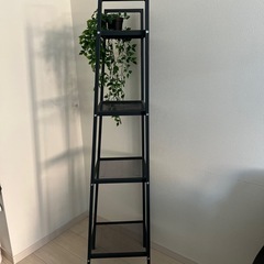 シェルフの画像