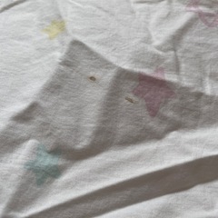 ベビーかけ布団　ペット用にも♪の画像