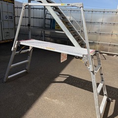 勇馬の立ち馬の画像