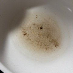 Francfranc 鍋フライパンセットの画像