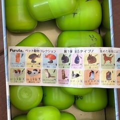 チョコエッグの中身　ペット動物第1弾35種の画像