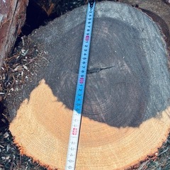 【早い者勝ち】薪用 玉切材 40cm 針葉樹 軽トラ1台分あたり3,000円の画像