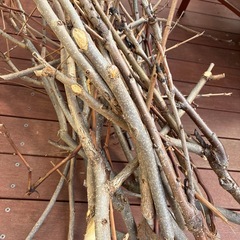 1mくらいの木の枝の画像