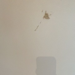 ニトリ　三つ折りマットレスの画像