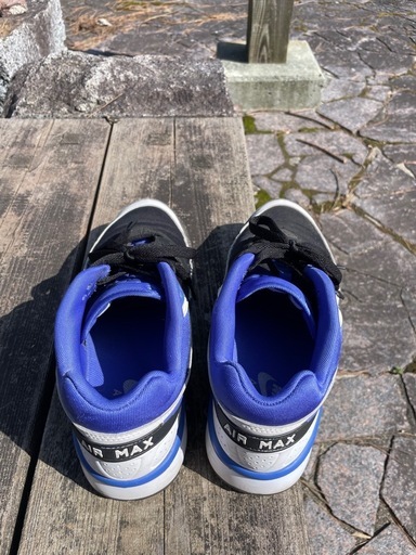 NIKE エアマックスBWレアカラー