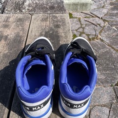 NIKE エアマックスBWレアカラーの画像