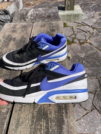 NIKE エアマックスBWレアカラー