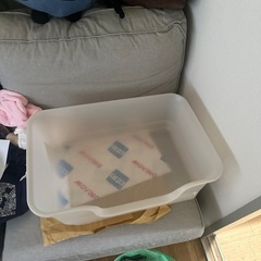 猫トイレの画像