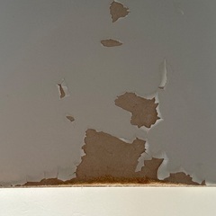 ニトリ コパンシリーズ 食器棚の画像