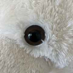 シロクマぬいぐるみの画像