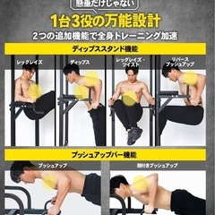 STEADY 懸垂 懸垂マシン ぶら下がり健康器 の画像