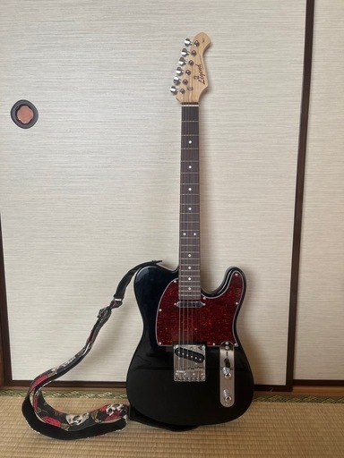 エレキギター Mooer ムーアー GTRS M800C Dark Purple エレキギター(GTRSシリーズ 数 