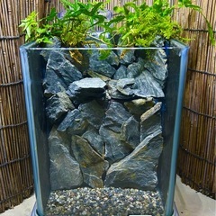 水の流れる滝テラリウム水槽　2個セットの画像