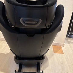 サイベックス　Jr.シートの画像