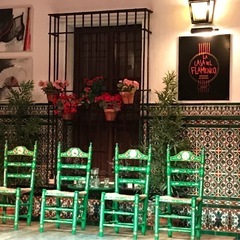 🌸 北柏で楽しくフラメンコを始めませんか？ 🌸 - 柏市