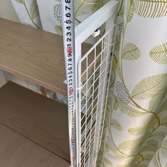 テーブル【決定】の画像