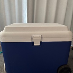 【コーナン】クーラーボックス　約50Lの画像