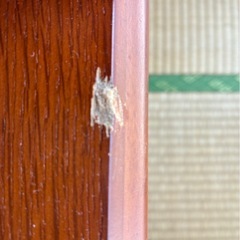 折りたたみ座卓、テーブルの画像