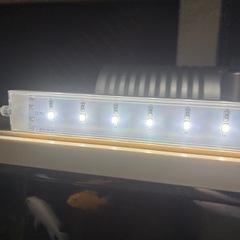 本日限定⑥水槽LEDライトの画像