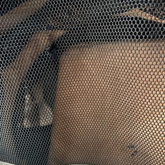 コールマン　犬用テント　ドッグキャリーの画像