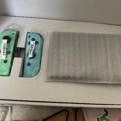 Nintendo Switch どうぶつの森editionの画像